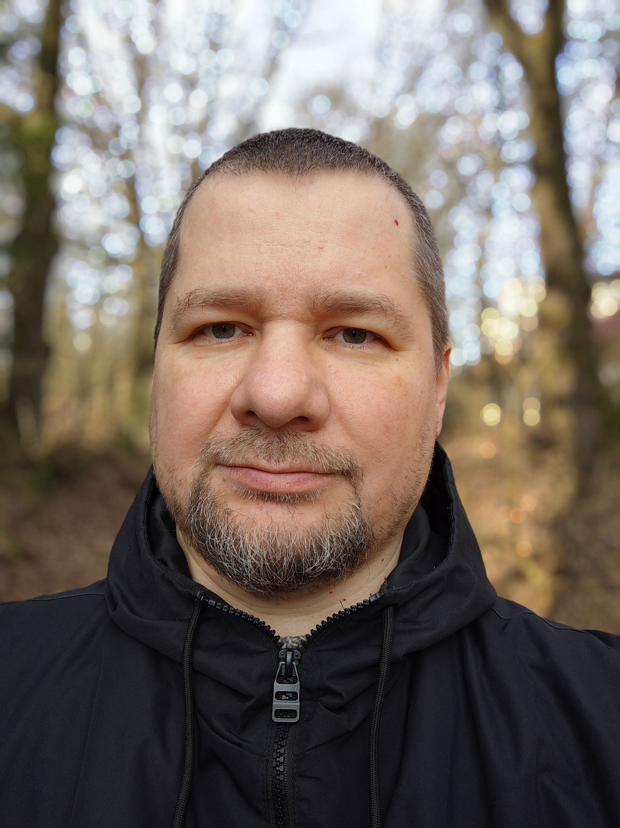 Obraz