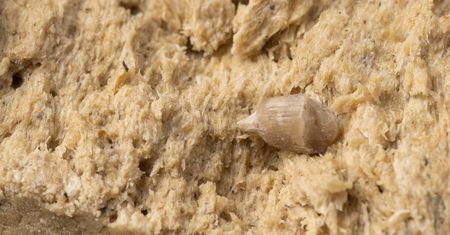 Sięgaj po nią, zamiast zajadać się słodyczami. Może wspierać serce, ale jest haczyk