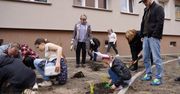 Czyn społeczny w Chodzieży