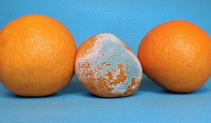 GIS ostrzega. Niebezpieczna pleśń na owocach i warzywach