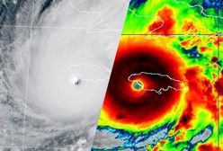 Jamajka w oku huraganu. "Łóżko pionowo"