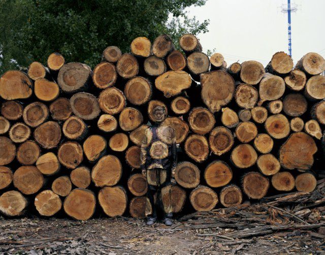 Liu Bolin - niewidzialny Chińczyk 31