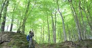 Spotkanie z królem puszczy i noc w lesie. Oto, co Lasy Państwowe wystawiły na WOŚP