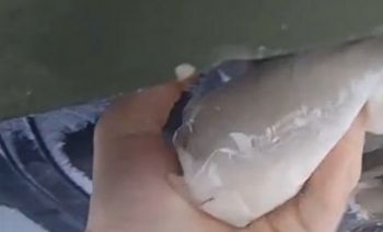 Wystarczył składnik z kuchni. Rosjanin dokonał sabotażu