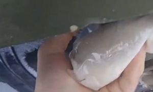 Wystarczył składnik z kuchni. Rosjanin dokonał sabotażu