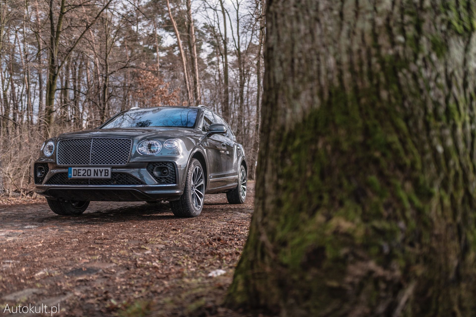 Bentley Bentayga V8 (2021)