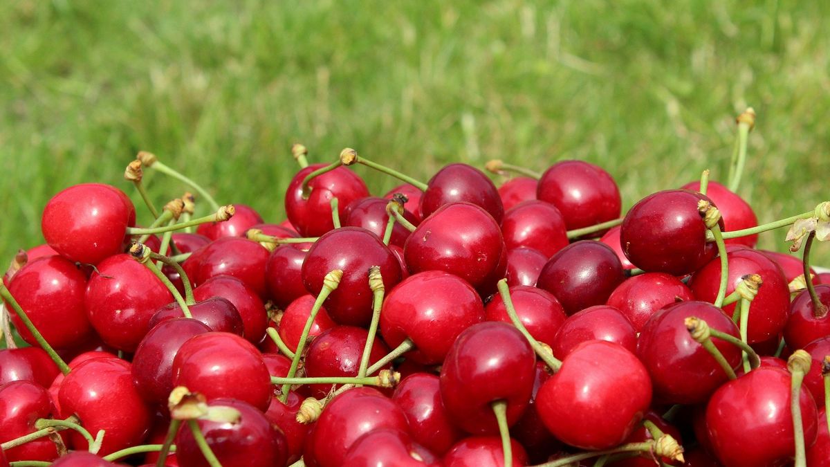 Sprzedawcy czereśni zaczęli stosować sztuczki