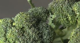 Jak gotować brokuły, żeby nie straciły witamin? (WIDEO)
