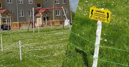 Elektryczny pastuch obok placu zabaw. "Czy to jest bezpieczne?"
