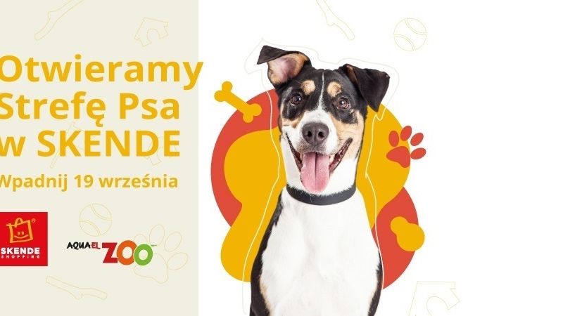 Strefa Psa w SKENDE Lublin