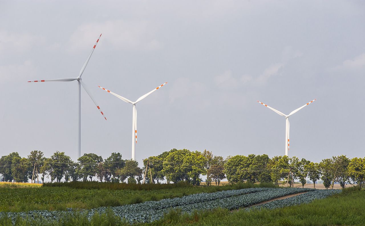 Energetyka bez papieru. Klienci Taurona żegnają się z klasycznymi dokumentami