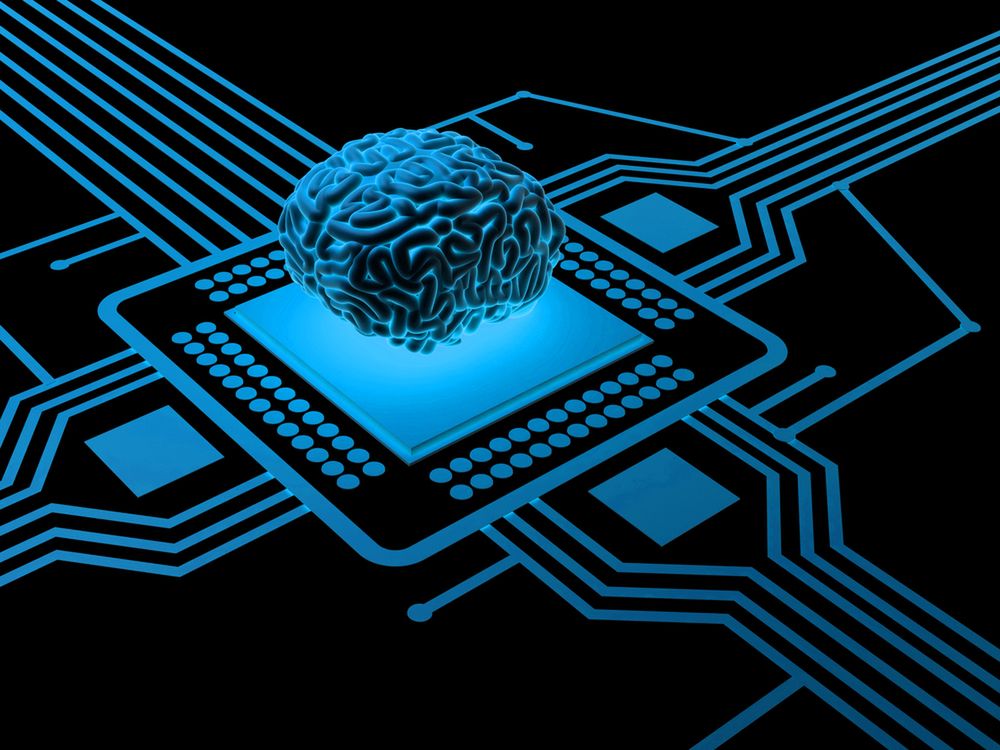 Procesor i ludzki mózg