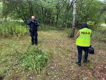 Marihuana miała trafić do uczniów podstawówek. Policja przejęła ponad 3,5 kg konopi