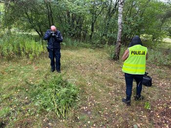 Marihuana miała trafić do uczniów podstawówek. Policja przejęła ponad 3,5 kg konopi