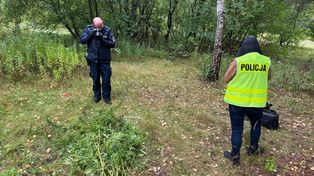 Marihuana miała trafić do uczniów podstawówek. Policja przejęła ponad 3,5 kg konopi
