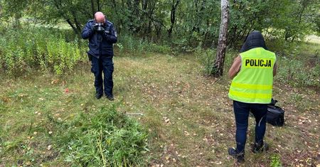 Marihuana miała trafić do uczniów podstawówek. Policja przejęła ponad 3,5 kg konopi