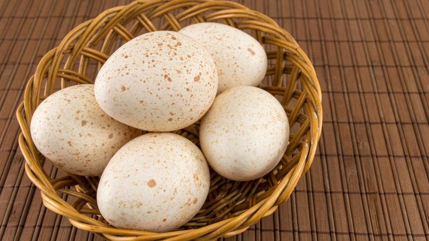 Surowe jajko indycze