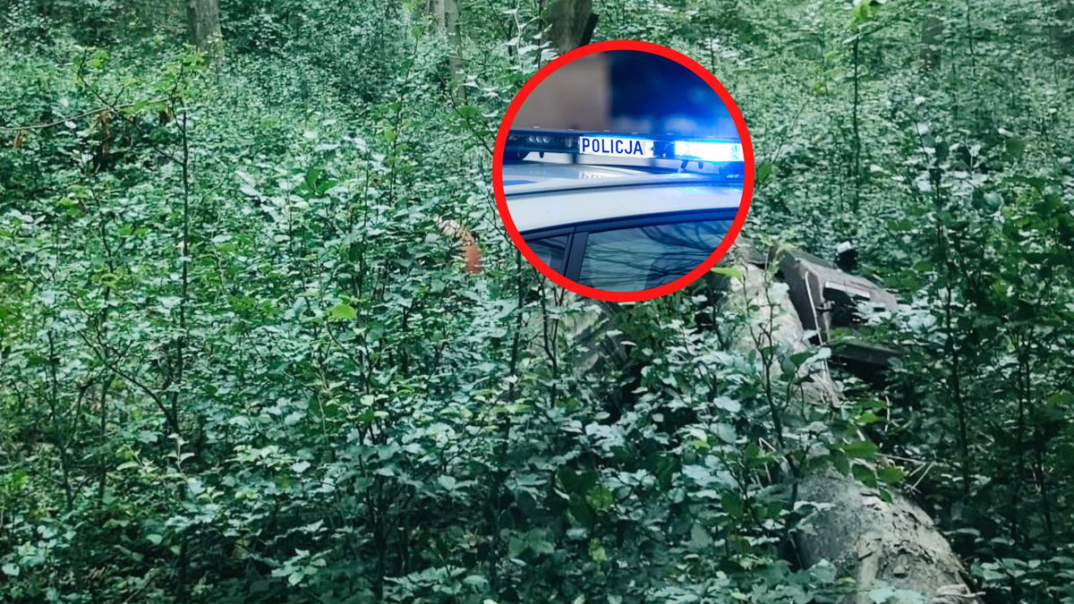 Nieszczęśliwy wypadek w trakcie prac leśnych.