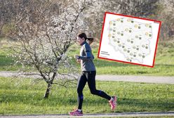 Chłodny podmuch w weekend. Deszczu nie będzie, ale temperatury spadną