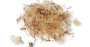 Surowe wodorosty irish moss