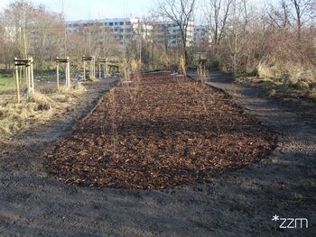 Poznań: Park Edukacji Ekologicznej zyskał kilkaset krzewów