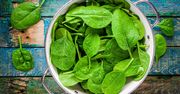 Szpinak - wartości odżywcze, właściwości lecznicze, przepis, kalorie