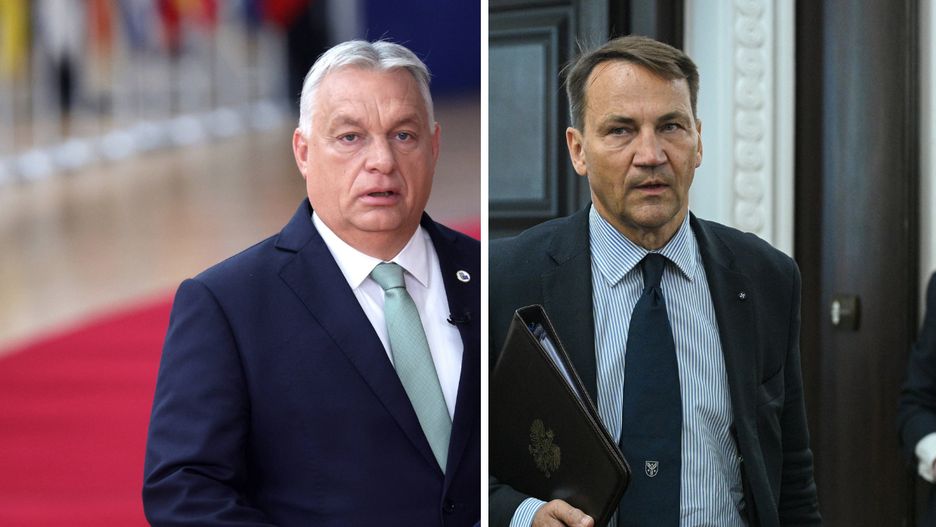 Viktor Orban, Radosław Sikorski