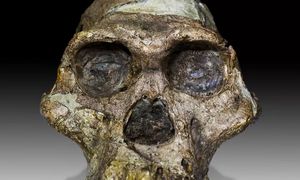 Skrajne różnice między płciami. Tacy byli nasi przodkowie