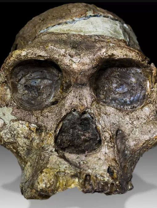 Skrajne różnice między płciami. Tacy byli nasi przodkowie