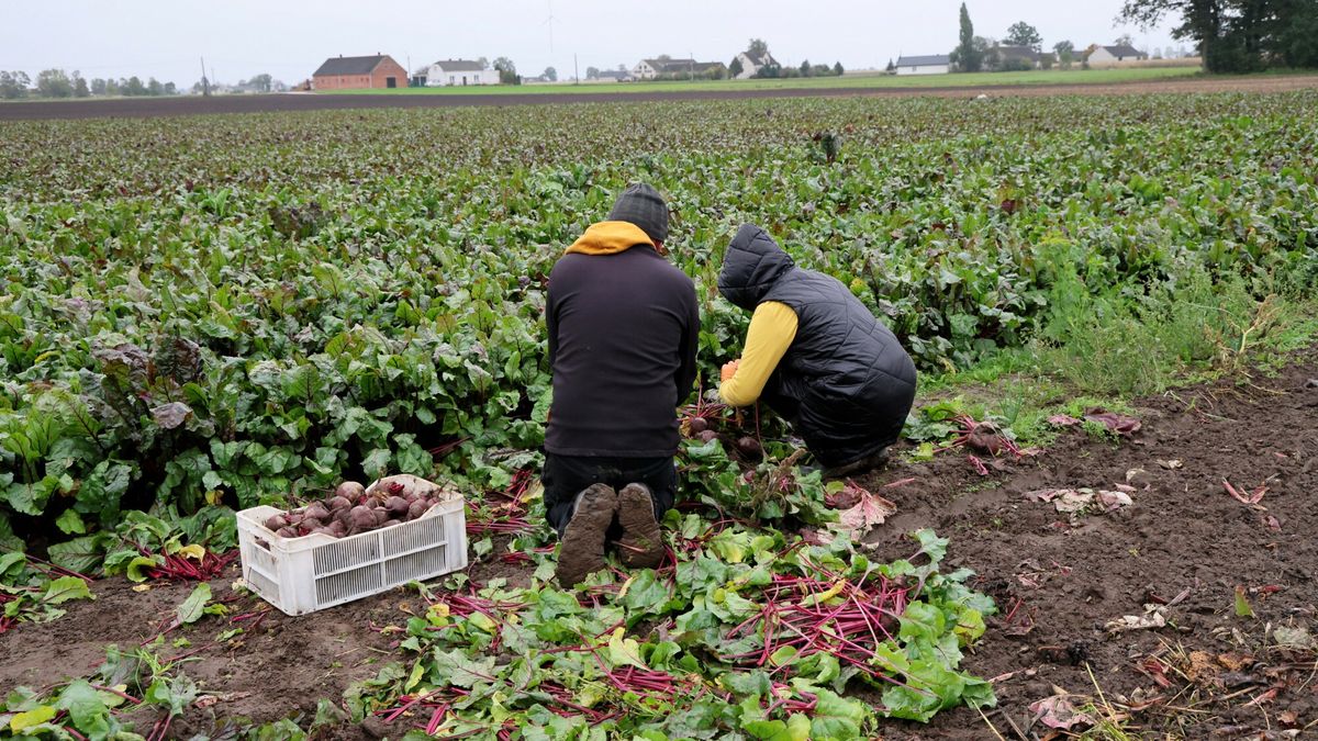Zdjęcie ilustracyjne