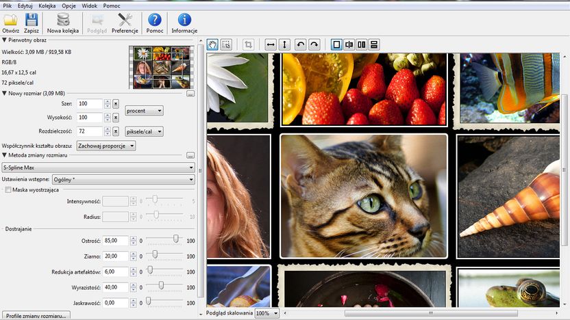 PhotoZoom Pro 2