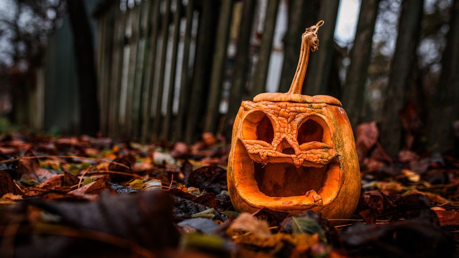 Polska znalazła się w rankingu najlepszych miejsc na Halloween
