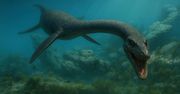 Jurajski potwór morski powraca. Rzadka skamielina ujawnia sekrety ewolucji