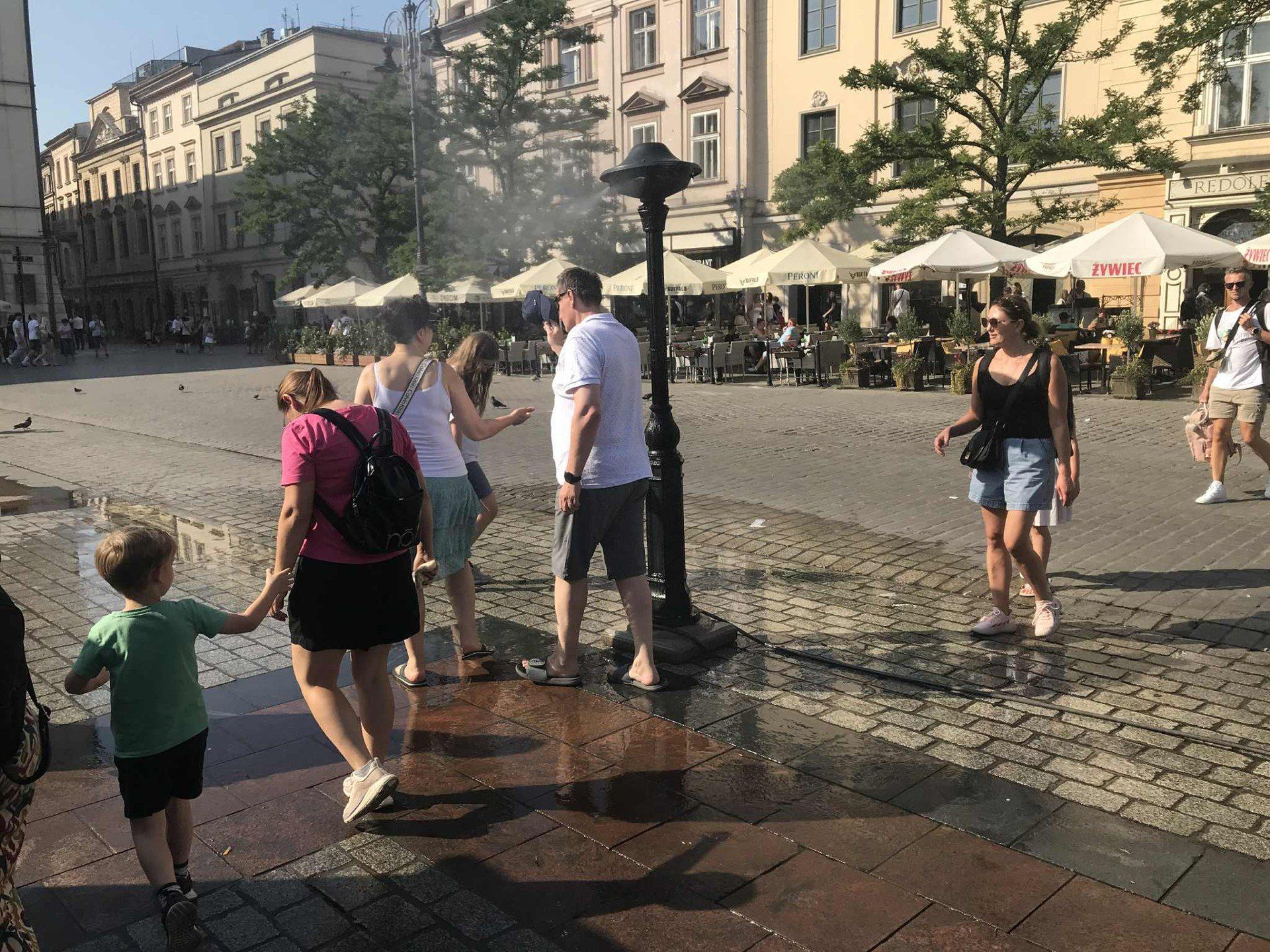 Zraszacze dają nieco ochłody w gorące dni