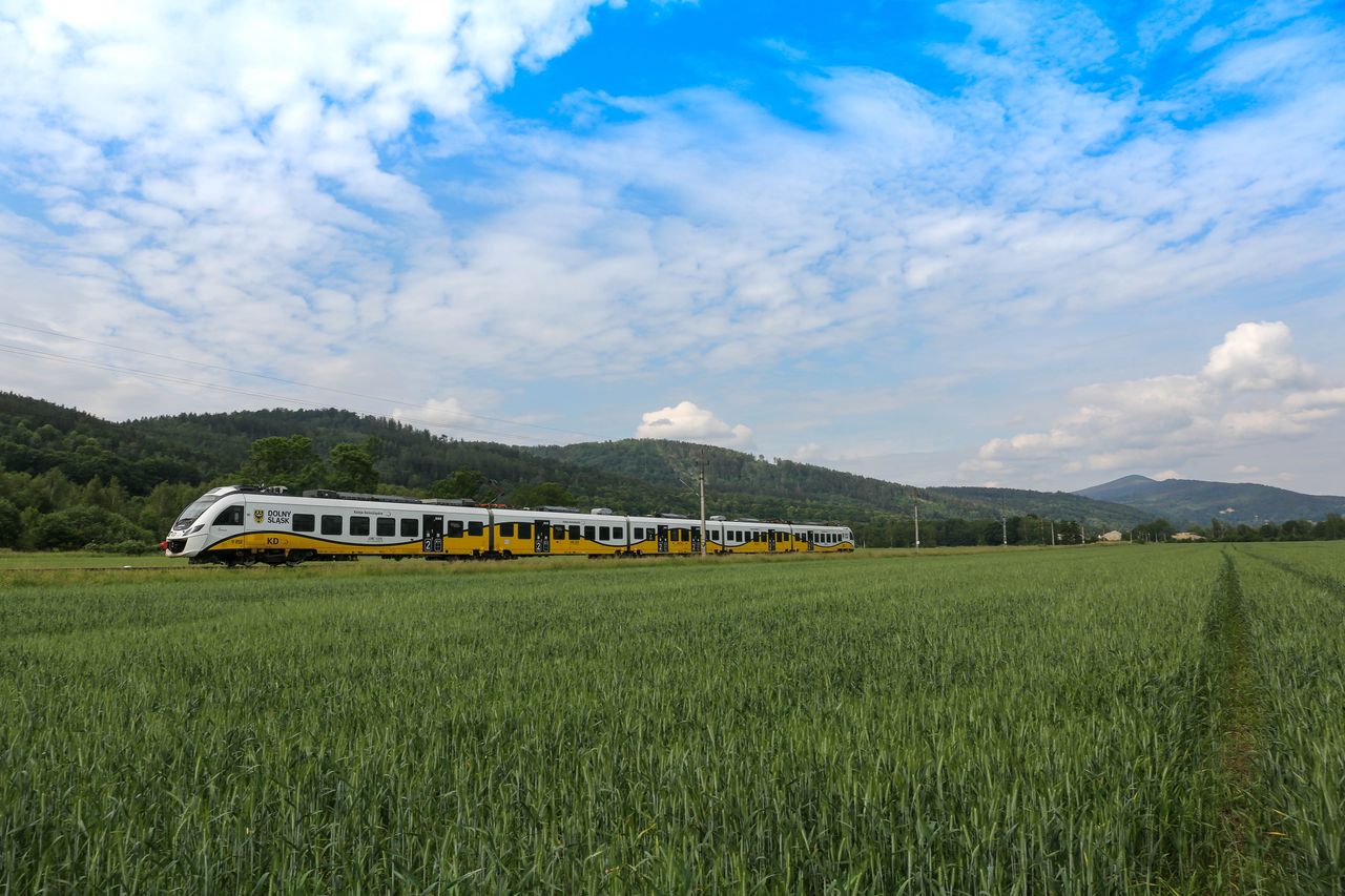 Wrocław. Wakacyjna oferta Kolei Dolnośląskich. Rusza specjalna akcja