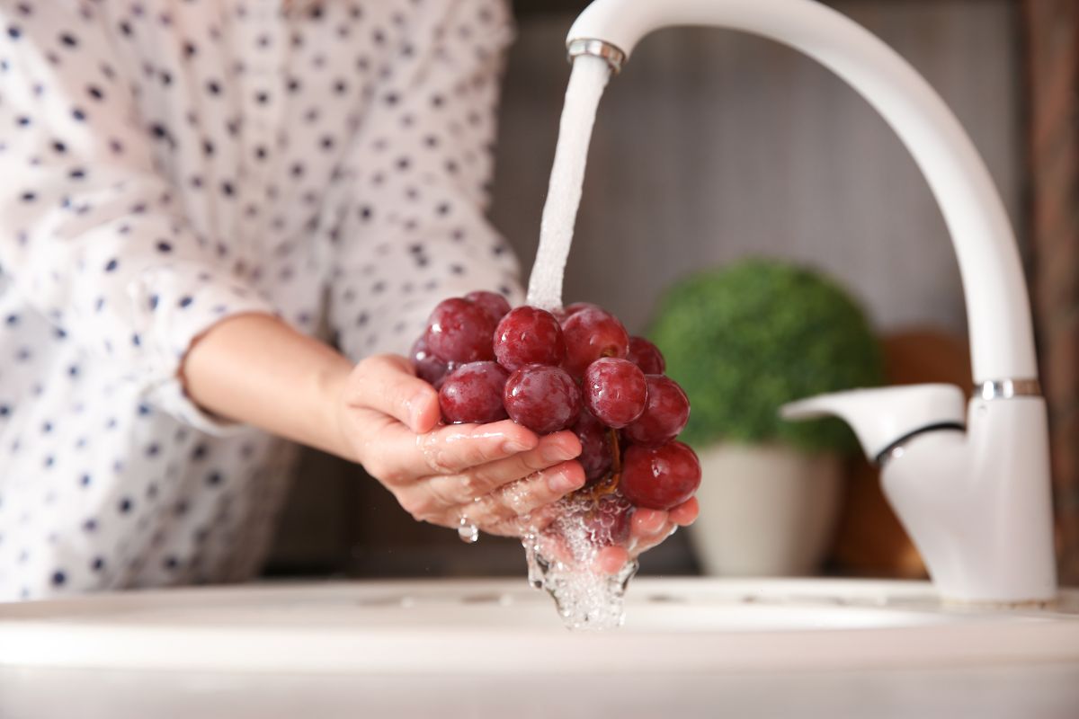 Red grapes will work great as a salad ingredient.