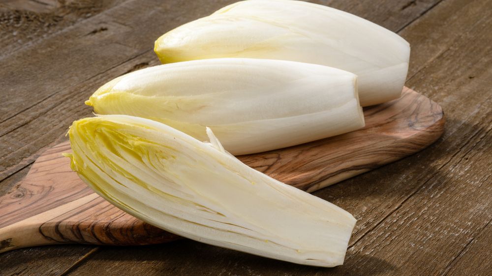 Cykoria - charakterystyka, wartości odżywcze, właściwości, przyrządzanie