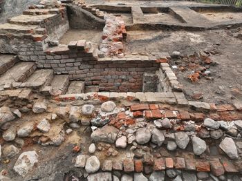 Odkrycie w Wielkopolsce. Znaleźli kości zwierzęce i monety