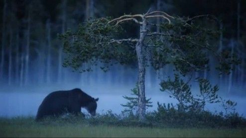 Zobacz filmy z Nikona D3s z czułością ISO 102 400! 1