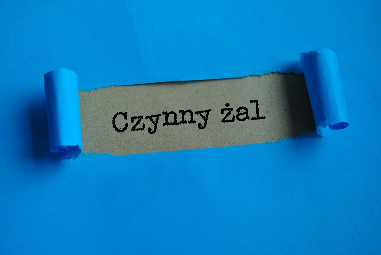 Znasz przepisy prawa? Sprawdź się w krzyżówce