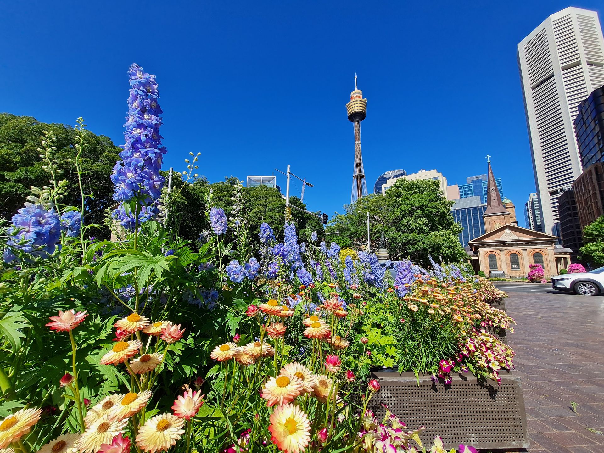 W Sydney atrakcji nie brakuje