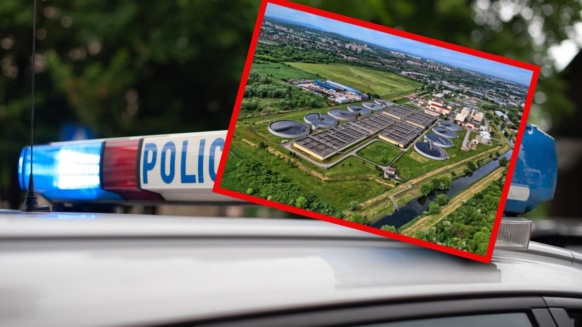 Zdjęcie ilustracyjne