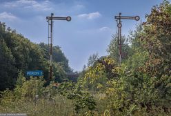 Kolejowy kręgosłup Mazur porośnięty trawą. Rząd zapomniał o kurortach