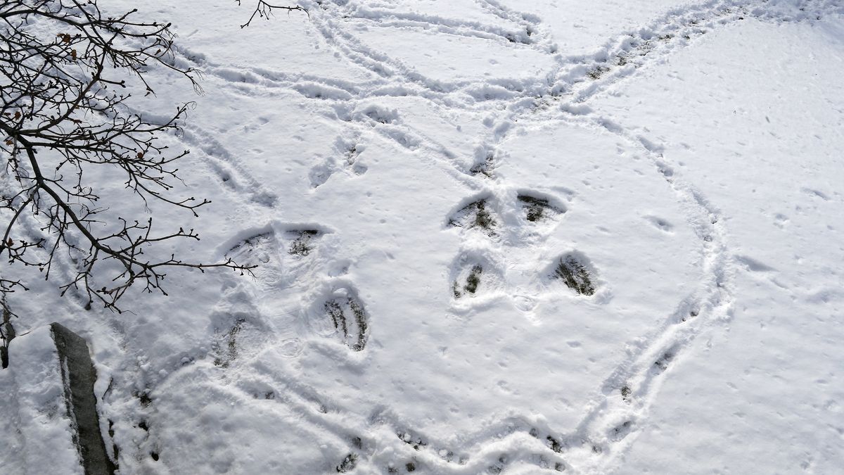 11-latek zamarzł z wyziębienia we własnym łóżku