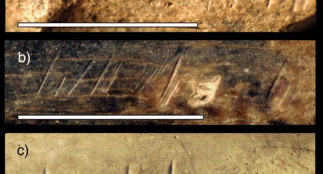 Nasi przodkowie zjadali się nawzajem