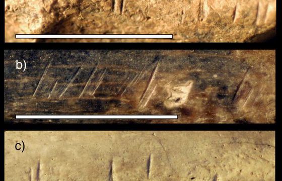 Nasi przodkowie zjadali się nawzajem