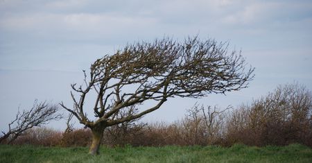 To ostatni tak ciepły dzień. IMGW wydało ostrzeżenia