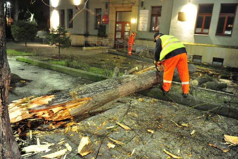 Usuwanie skutków wichury, jaka panuje w Szczecinie.