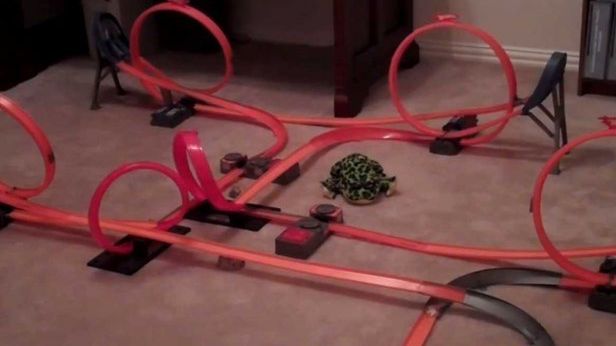 Najfajniejszy tata na świecie [wideo] 1