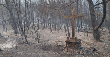 Tragiczny pożar w Chorwacji. Ogień trawi turystyczną wyspę
